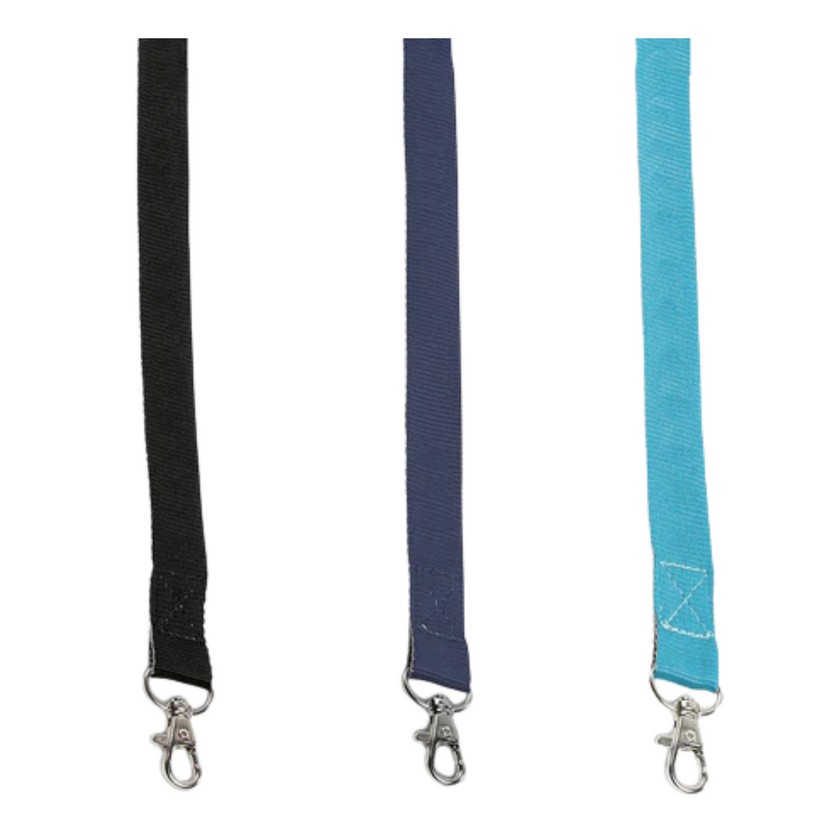 Lanyard